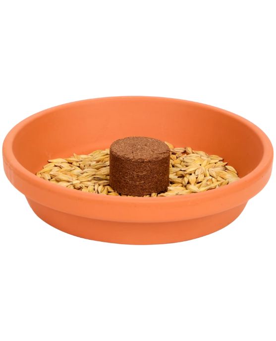 Cat Grass Growing Kit for Cats 3-Piece