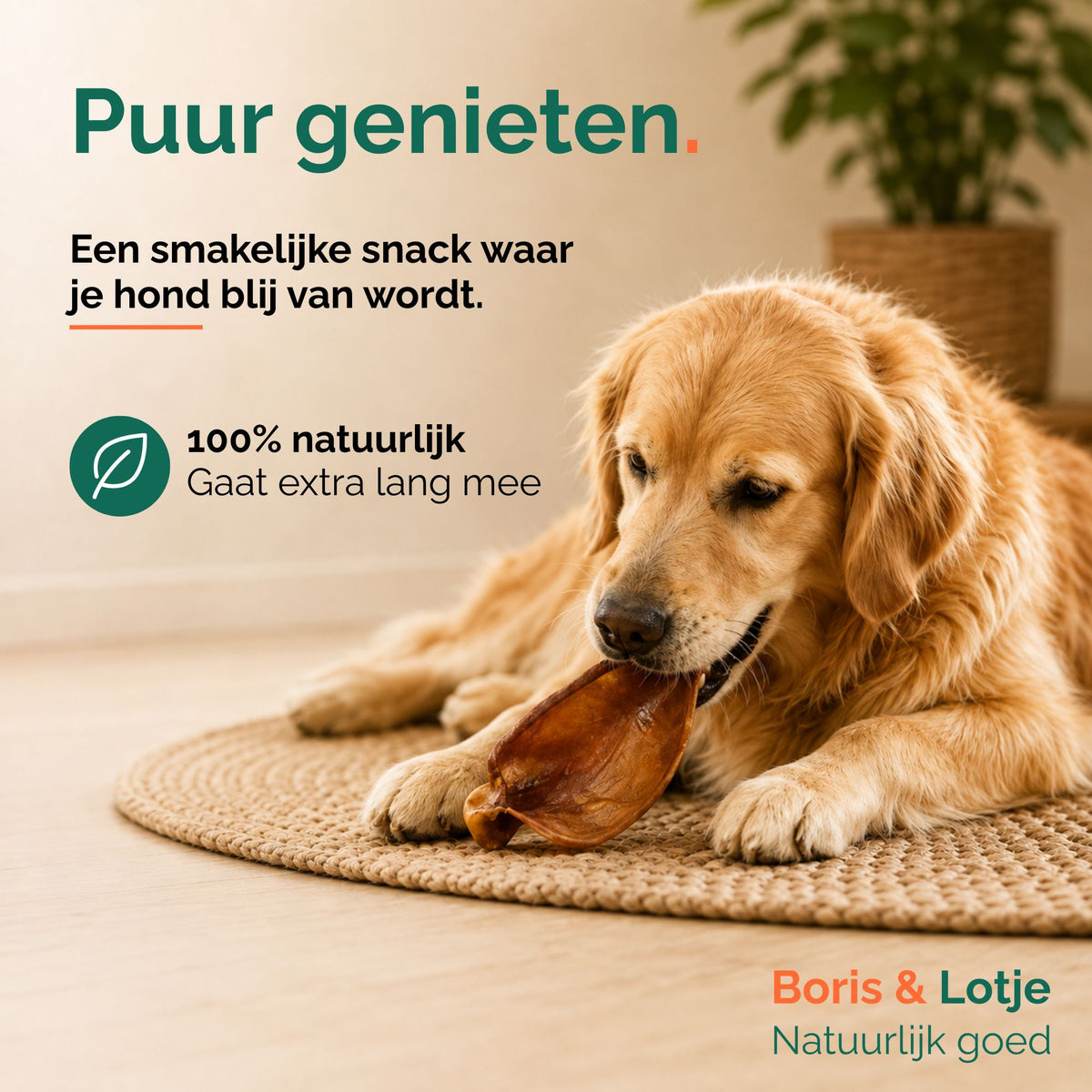 Varkensoren hond 500 gram