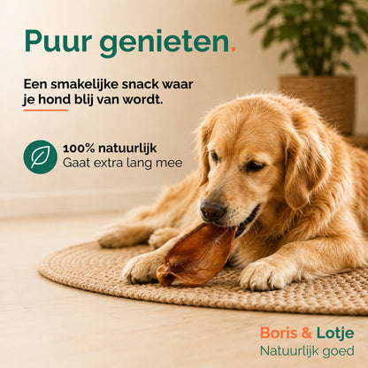 Varkensoren hond 500 gram