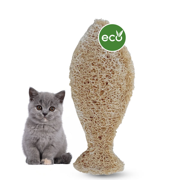 Natuurlijke tandenborstel voor katten - Gemaakt van 100% Luffa