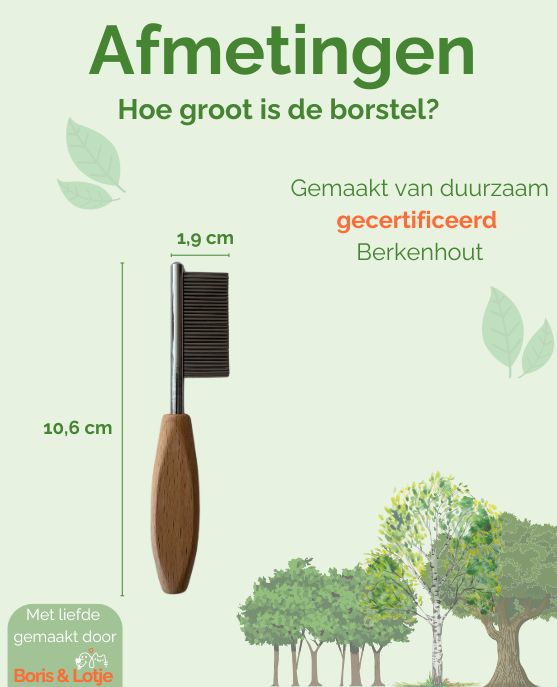 Gezichtskam hond - berkenhout 10,6 × 1,9 cm