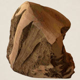 Heidewortel L (300-400 gram)