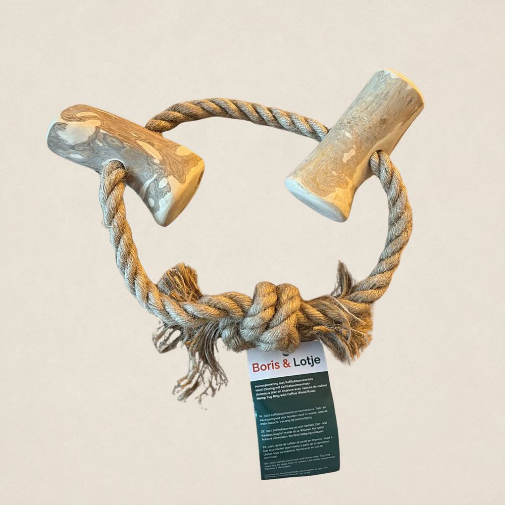 Henneptrekring met Koffieboomwortels L