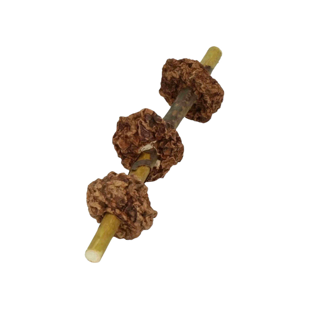 Madnip speelstick kattenspeeltje - 3 fruitvormen