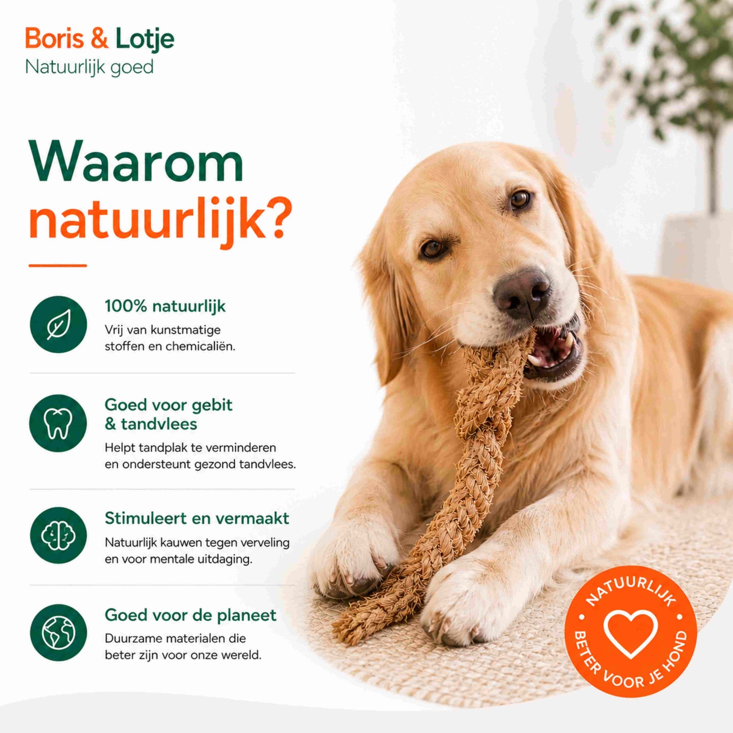 Hondenpakket Basispakket L - Natuurlijk kauwen en spelen