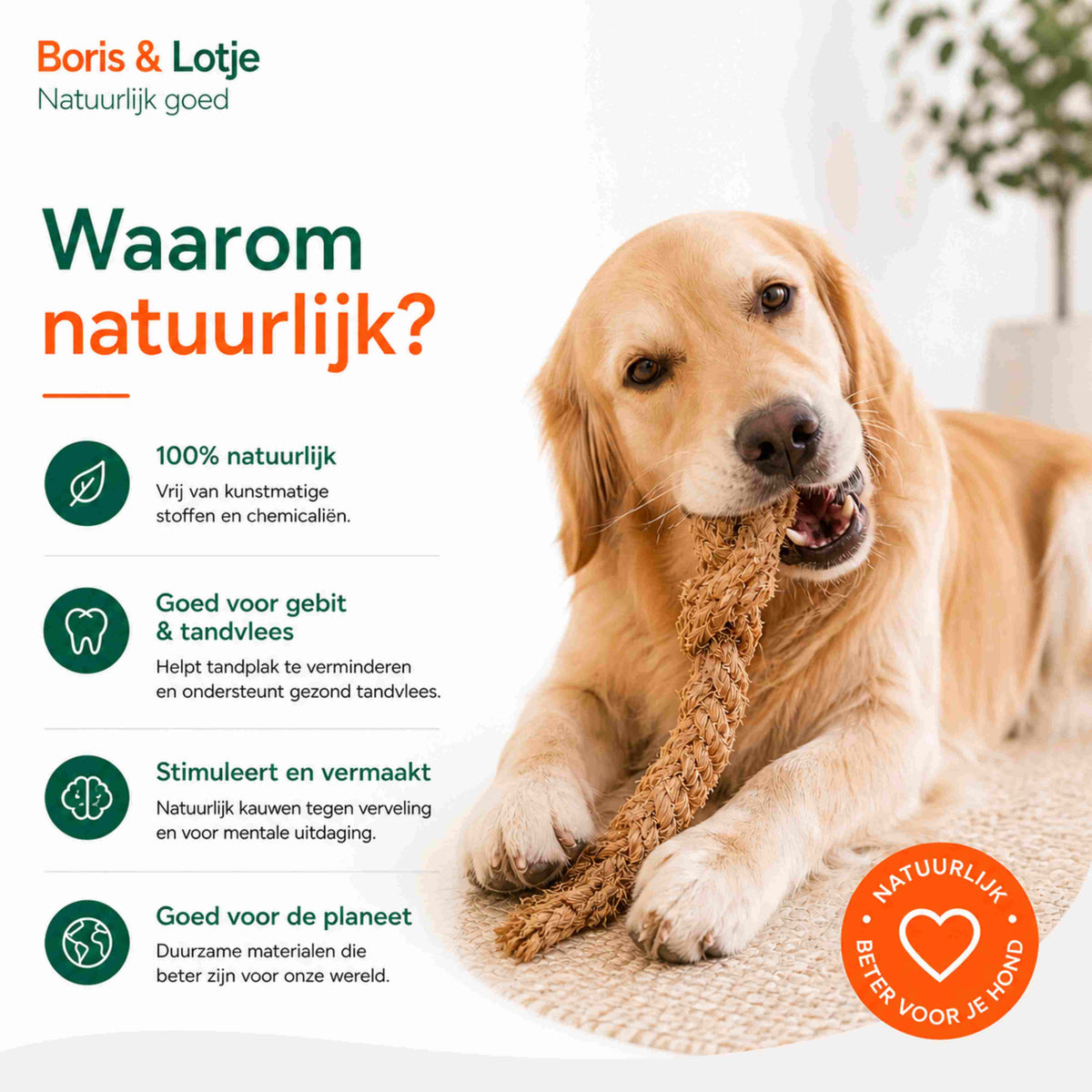 Hondenpakket Basispakket S - Natuurlijk kauwen en spelen
