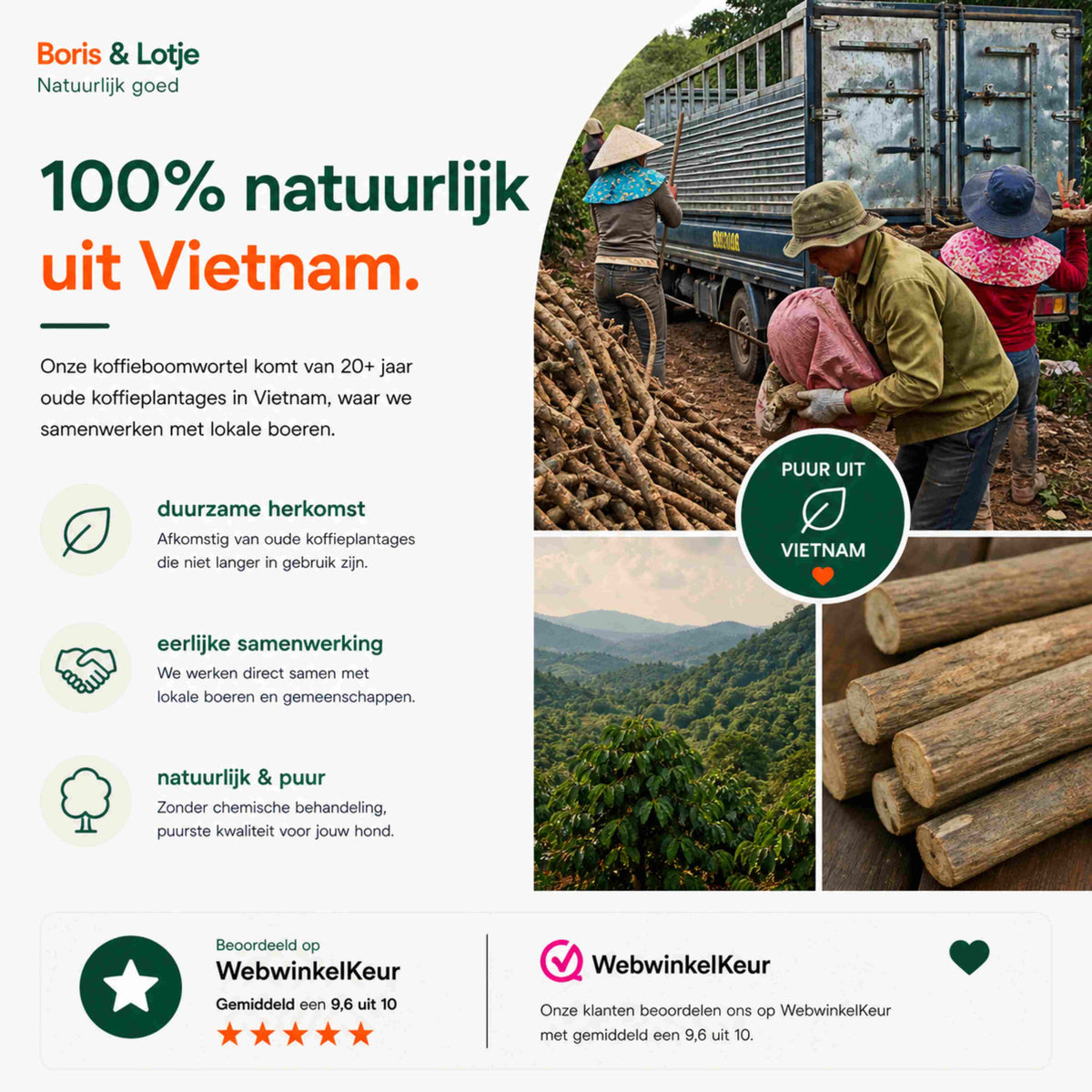 Deluxe hondenpakket XL - Natuurlijk kauwen en spelen