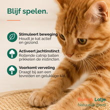 Krabplank kat met speelbaan - hout & sisal 40,6 cm