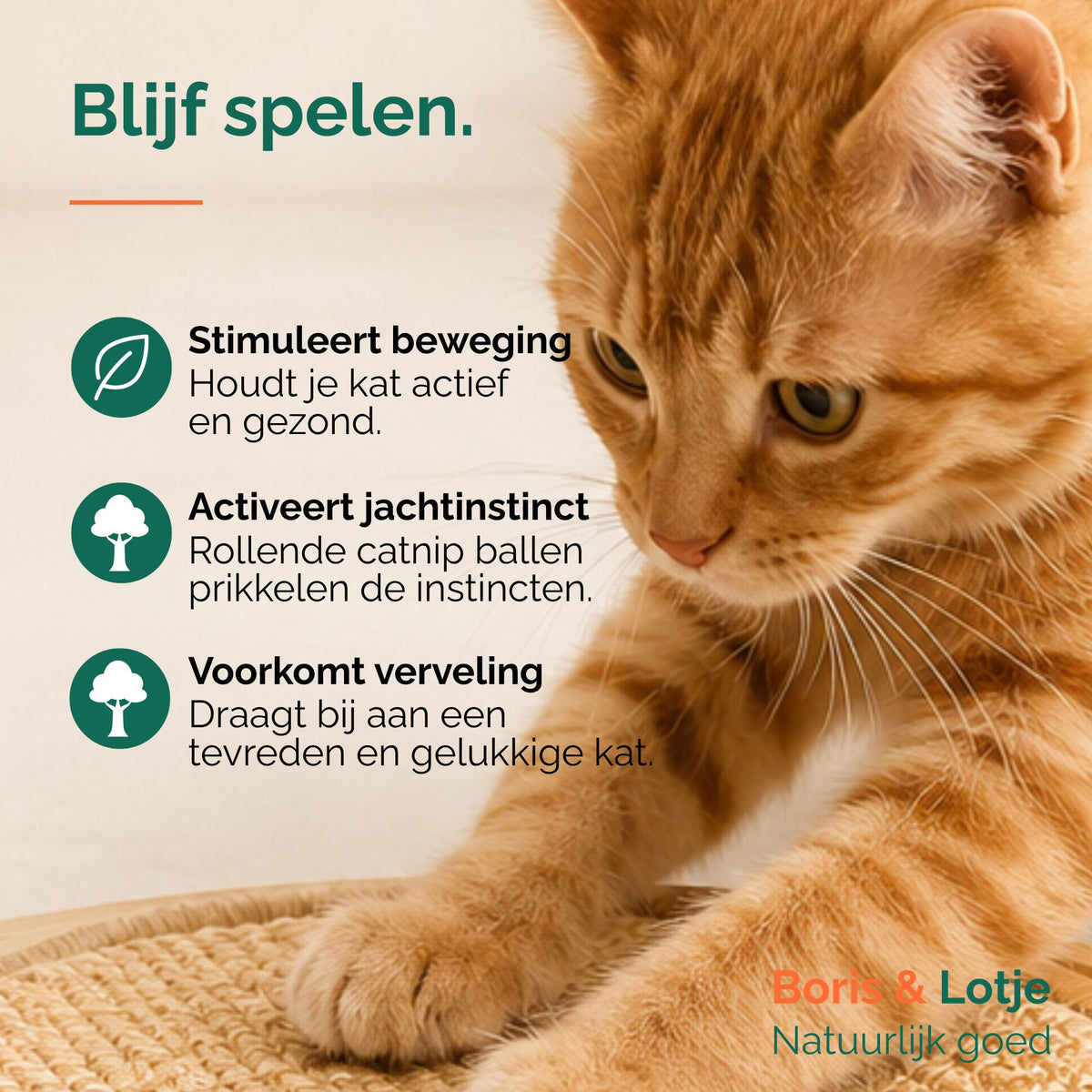 Krabplank kat met speelbaan - hout & sisal 40,6 cm
