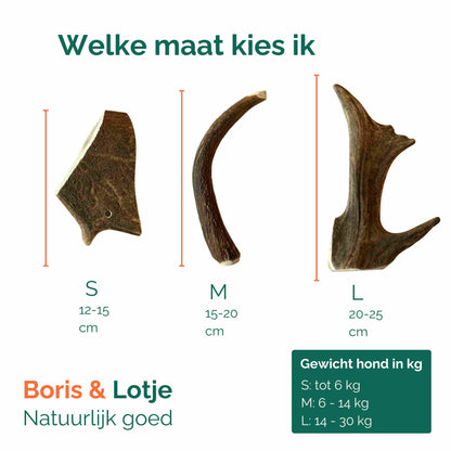 Damhertengewei hondensnack 100% natuurlijk maat M, 15-20 cm