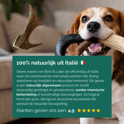 Elandgewei hondensnack 100% natuurlijk - maat S (50–80 gram)