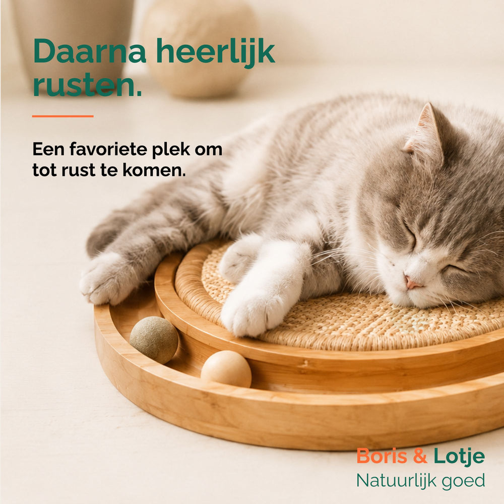 Krabplank kat met speelbaan - hout & sisal 40,6 cm