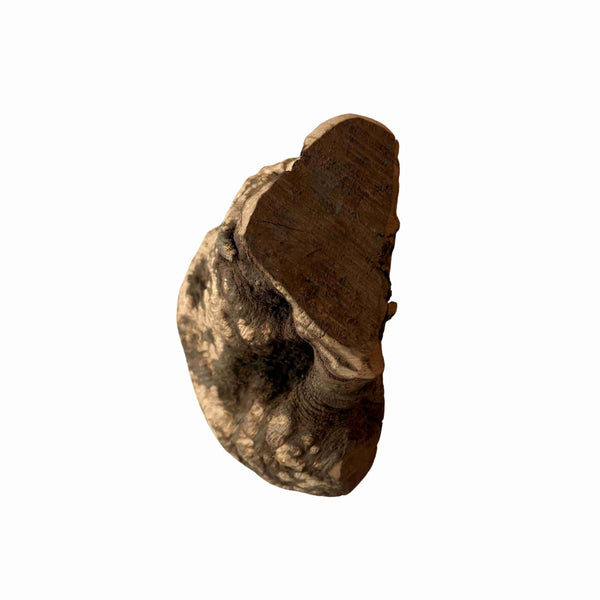 Heidewortel kauwwortel 100% natuurlijk - maat M (200-300 gram)