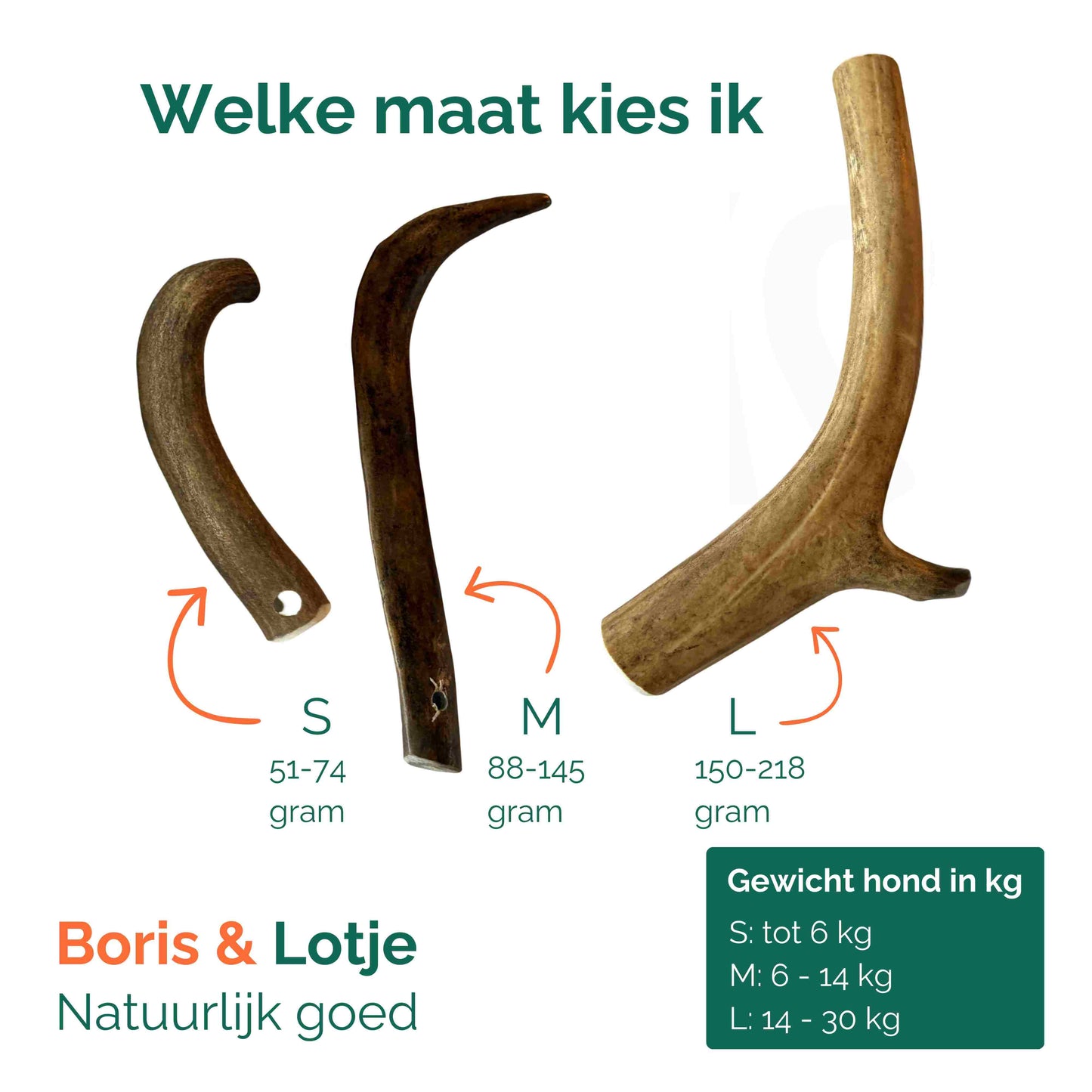 Hertengewei hond 100% natuurlijk - maat L (150–218 gram)
