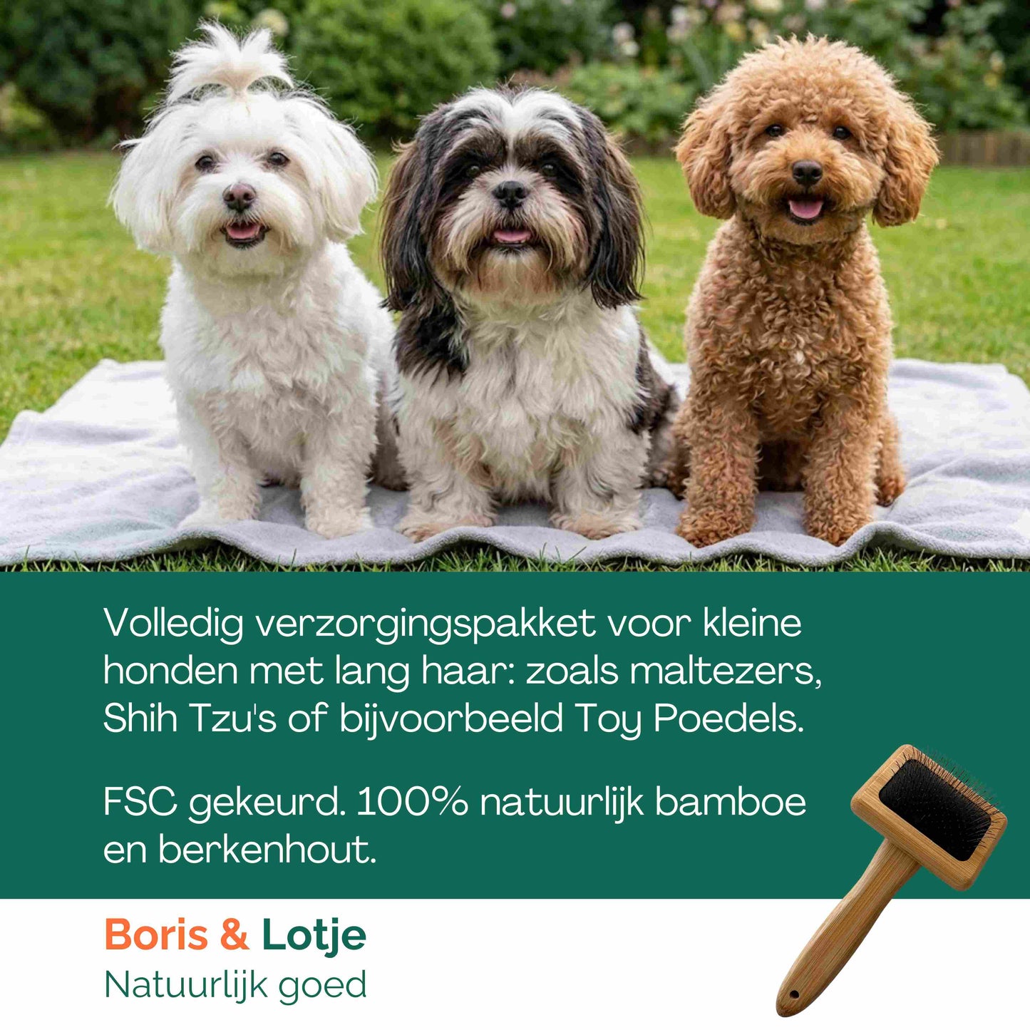 Lange Vacht Verzorgingspakket Kleine Hond tot 10 kg – Borstel, Slicker, Kam & Shampoo