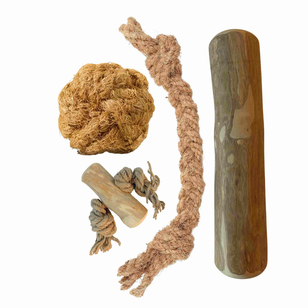 Hondenpakket Basispakket L - Natuurlijk kauwen en spelen