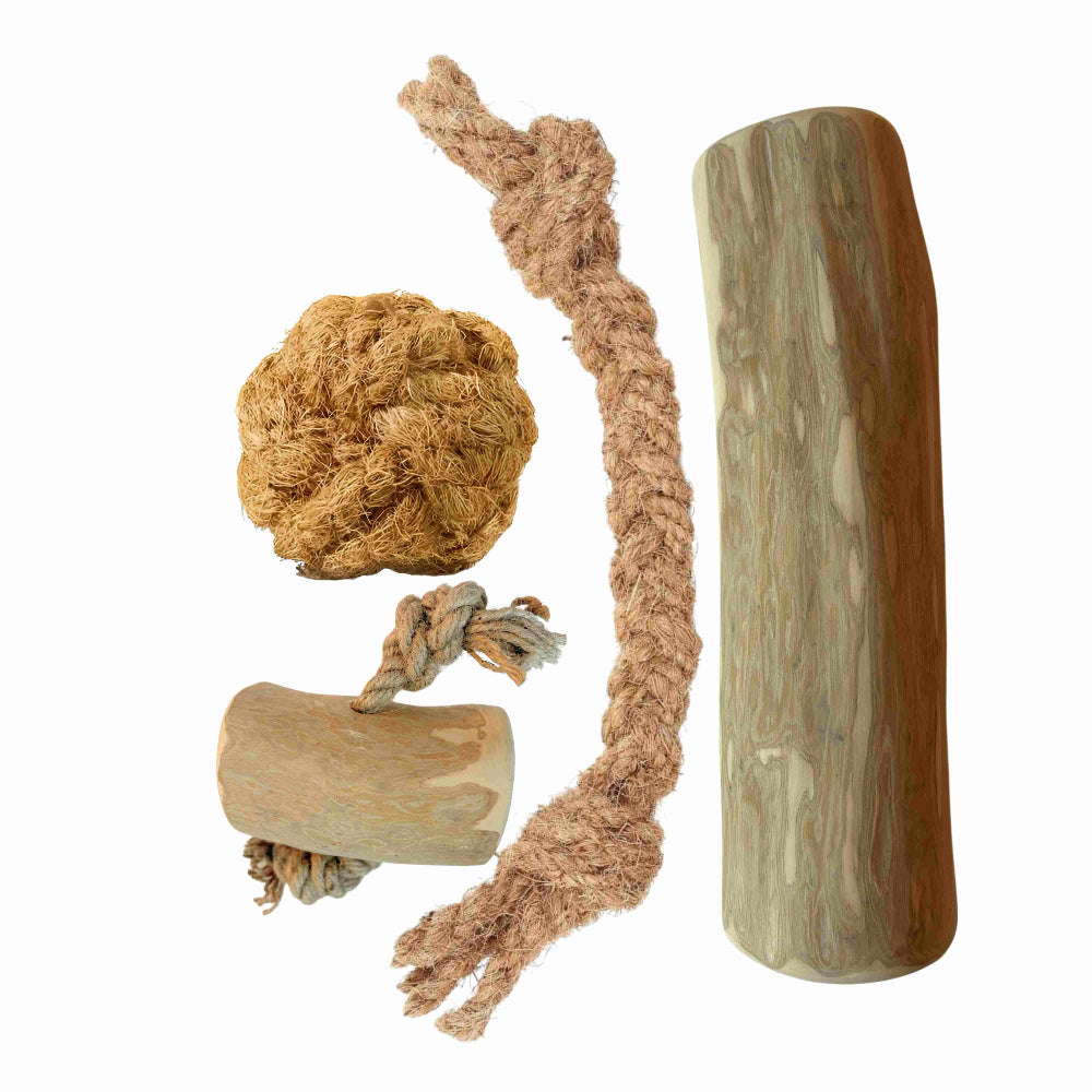 Hondenpakket Basispakket XXL - Natuurlijk kauwen en spelen