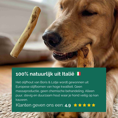 Olijfhout kauwstaaf hond 100% natuurlijk maat M, 15-20 cm - per stuk