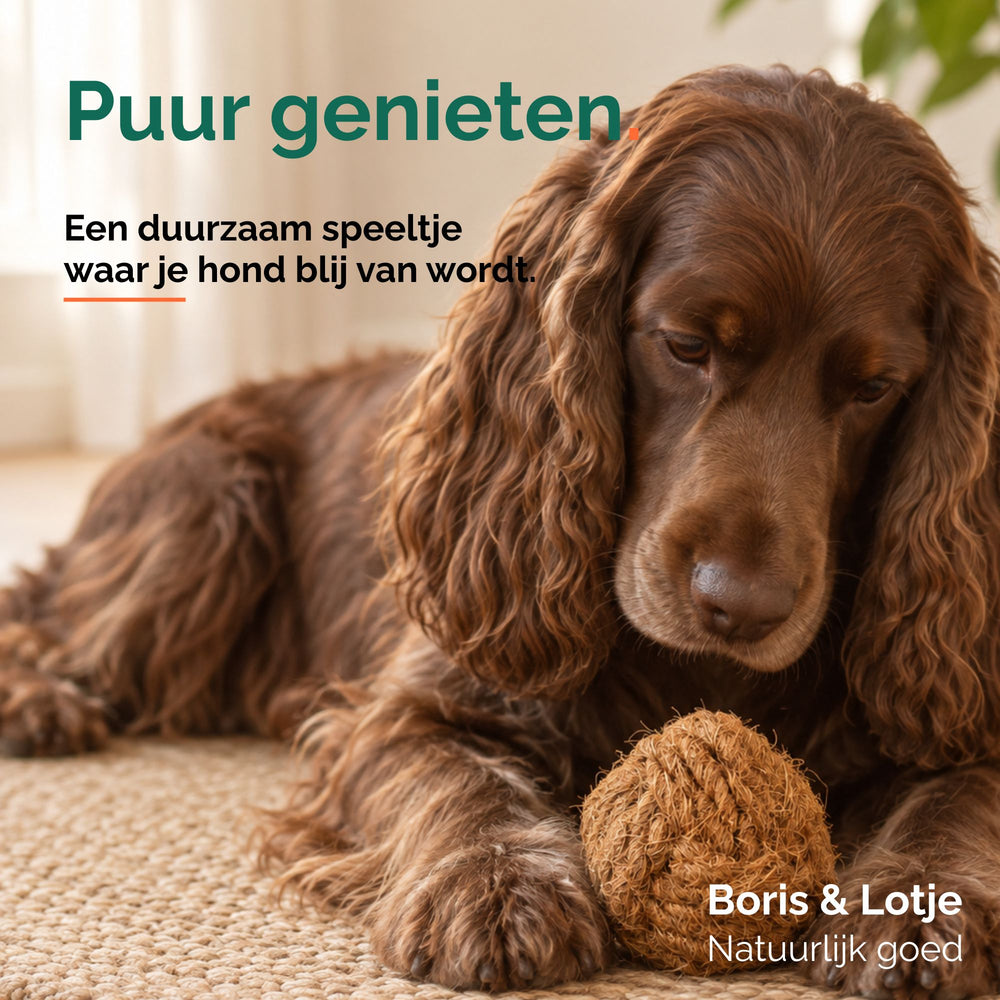 Kokosvezel Kauwbal Hond M (7,5 cm)