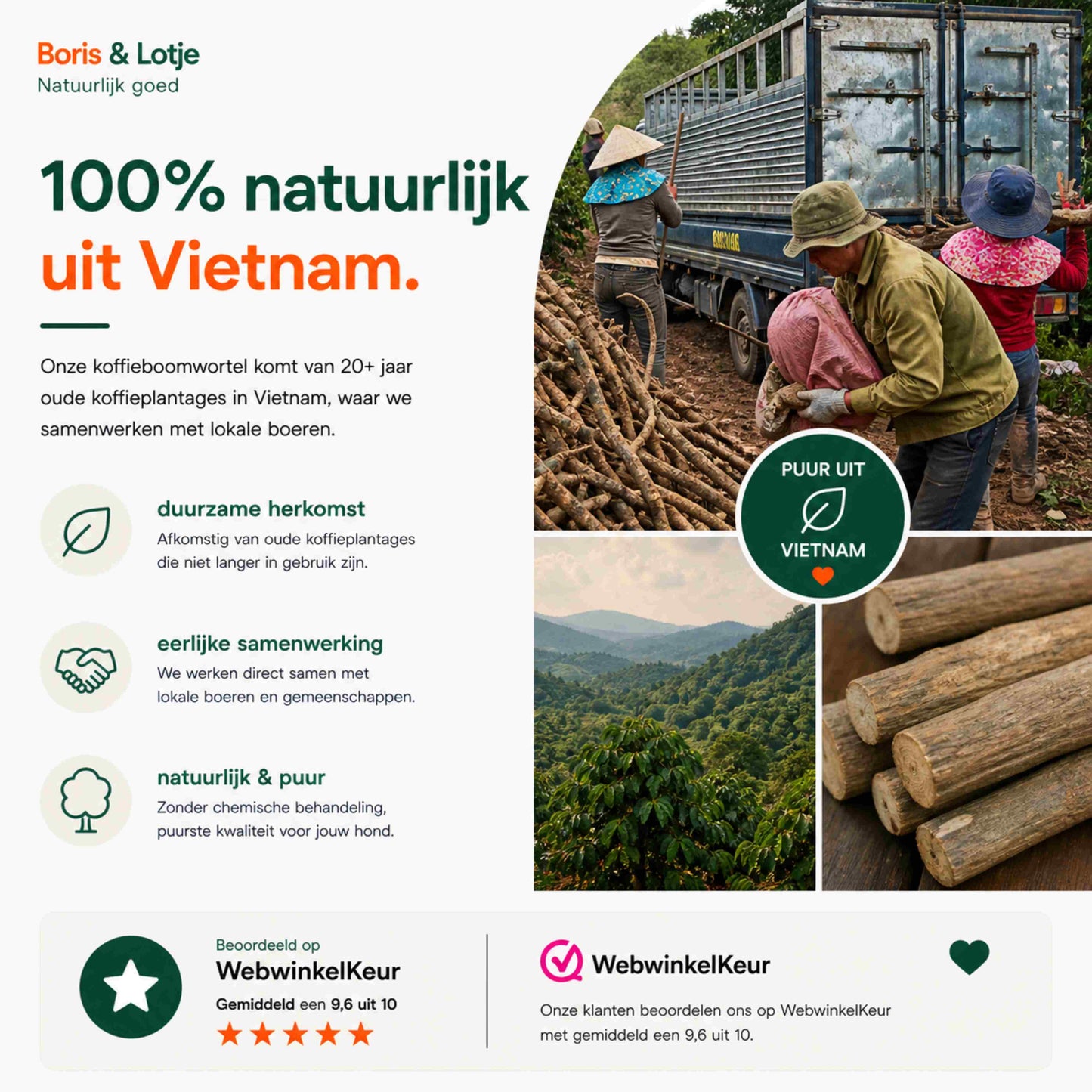 Koffieboomwortel Kauwstaaf Hond L (17–20 cm) - Per stuk