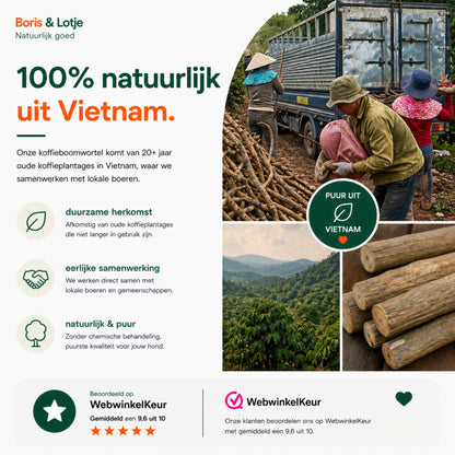 Koffieboomwortel Kauwstaaf Hond L (17–20 cm) - Per stuk