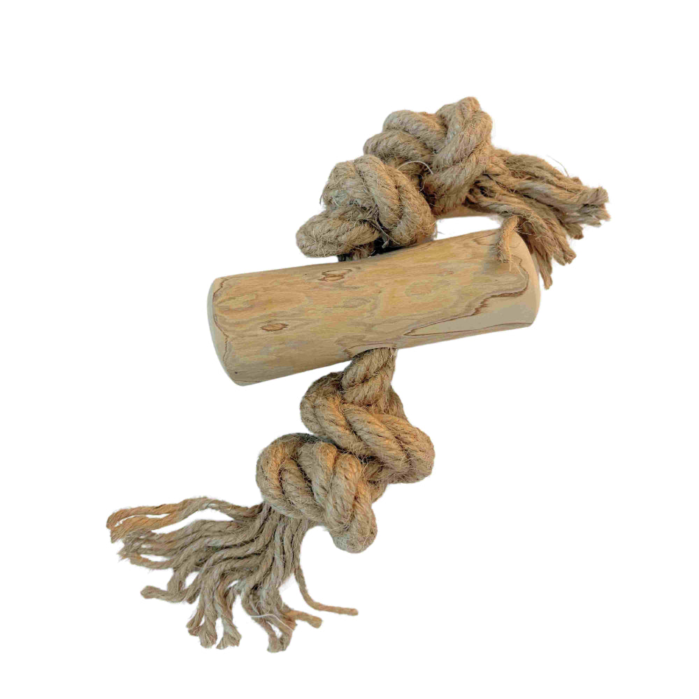 Koffieboomwortel met Henneptouw M - Per stuk