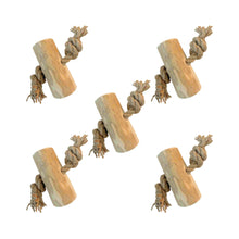 Koffieboomwortel met Henneptouw XL (10 cm)