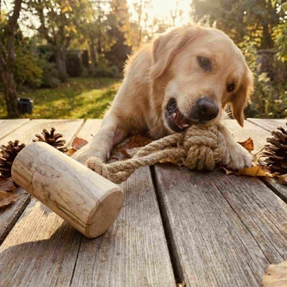 Koffiehout met kokosbal XL - Per stuk