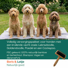Doodle Verzorgingspakket – Slickerborstel, 2 Hondenkammen & Anti-Klit Hondenshampoo