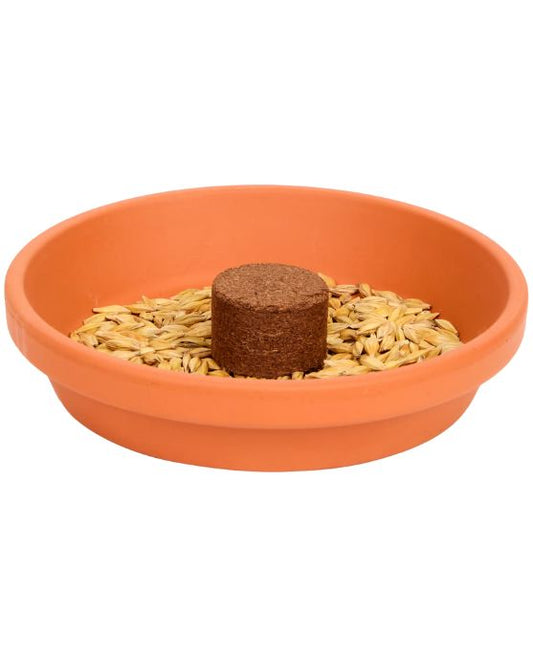 Cat Grass Growing Kit for Cats 3-Piece