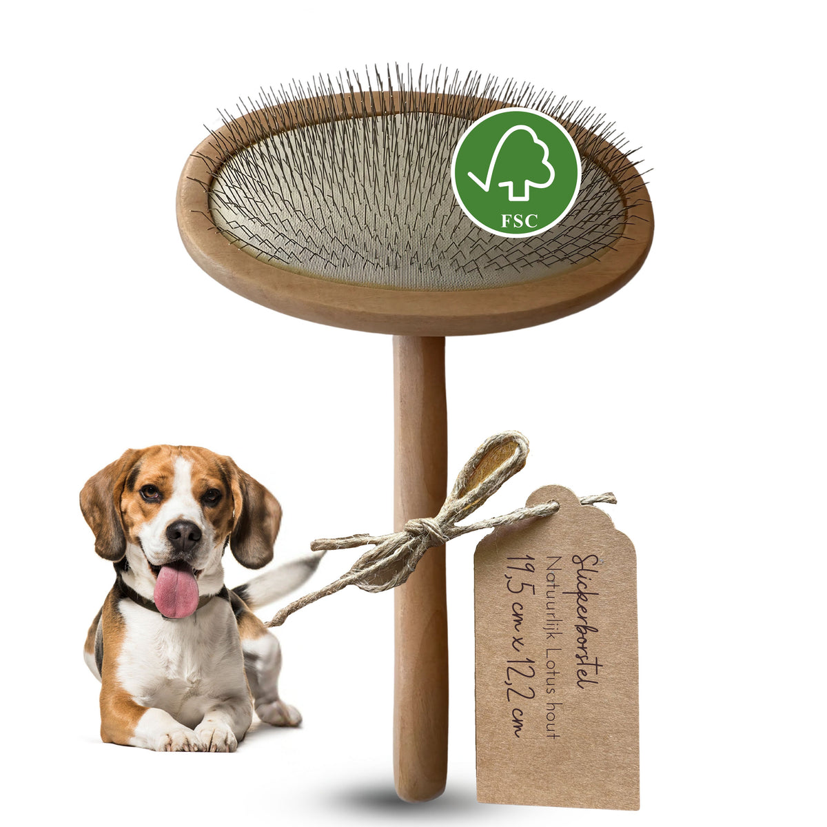 Slickerborstel hond L - lotushout 19,5 × 12,2 cm