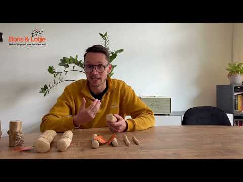 Koffieboomwortel met Henneptouw XL (10 cm)