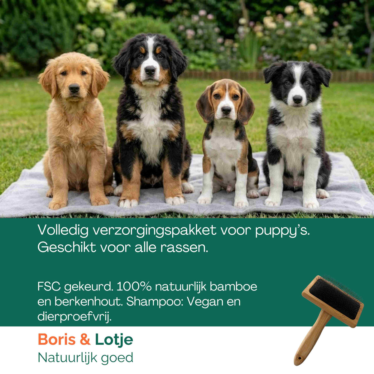 Puppy Verzorgingspakket – Hondenborstel, 2 Kammen & Puppy Hondenshampoo