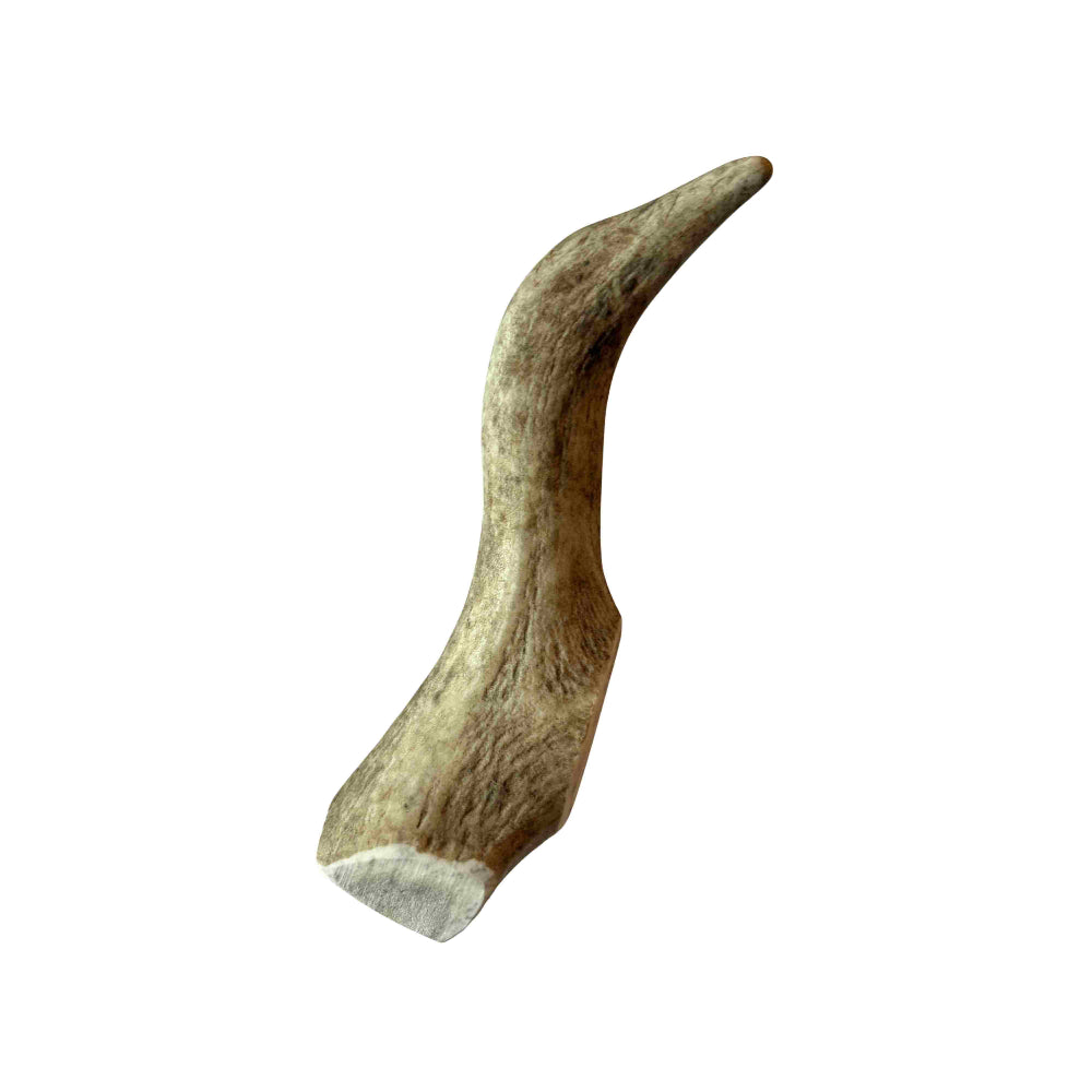 Rendiergewei L